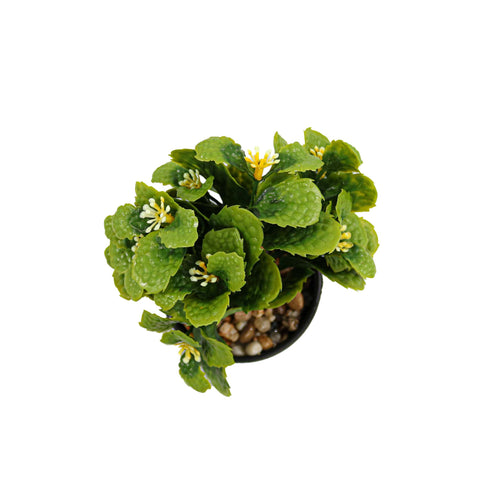 Aranjament Floral, Verde, Plastic, 18Cm