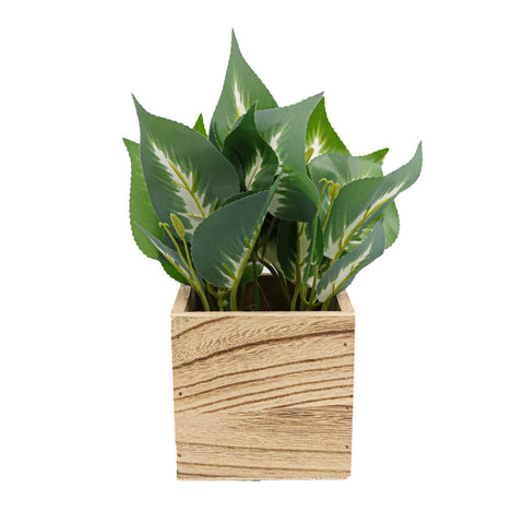 Ghiveci Lemn Cu Flori, Green, Plastic, 22Cm