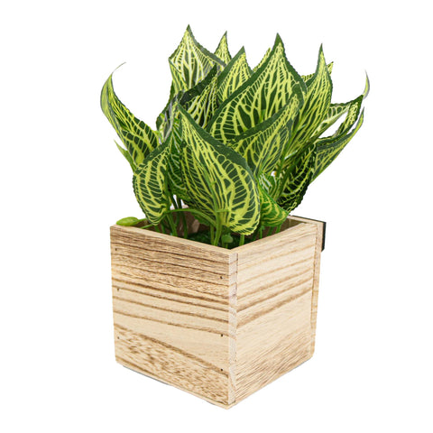 Ghiveci Lemn Cu Flori, Verde, Plastic, 21Cm