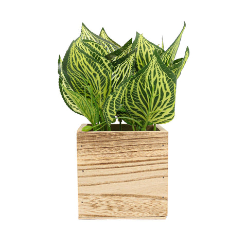 Ghiveci Lemn Cu Flori, Verde, Plastic, 21Cm