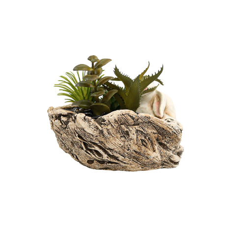 Aranjament Aloe Bunny, Verde, Plastic, 12Cm