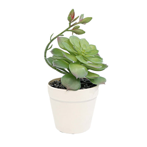 Aranjament Floral Artificial, Verde, Plastic, 17Cm