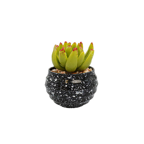 Vas Rotund Cu Planta Suculenta, Verde, Plastic, 8Cm